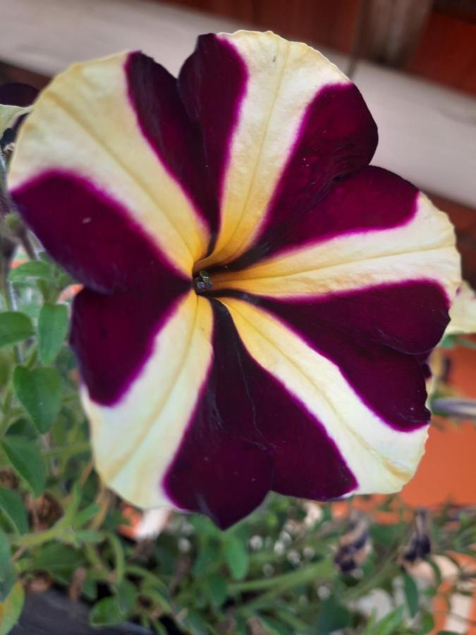 Morada Jaguary Casa de Férias